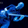 cynic_p2009_14