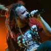 in_flames_p2009_020