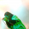 life_of_agony_p2009_39