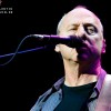 mark_knopfler_p2010_20