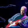 mark_knopfler_p2010_32