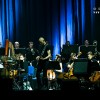 sting_p2011_03
