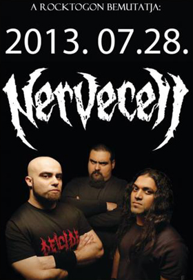 0729nervecell