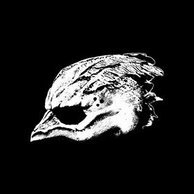 legendoftheseagullmen_c