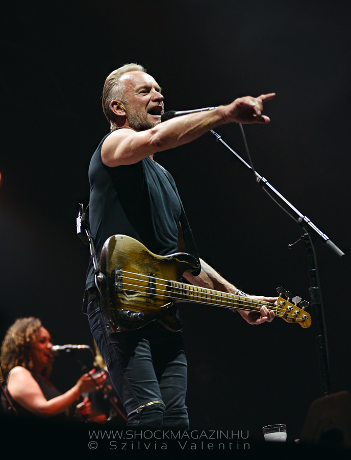 sting_k2019_01
