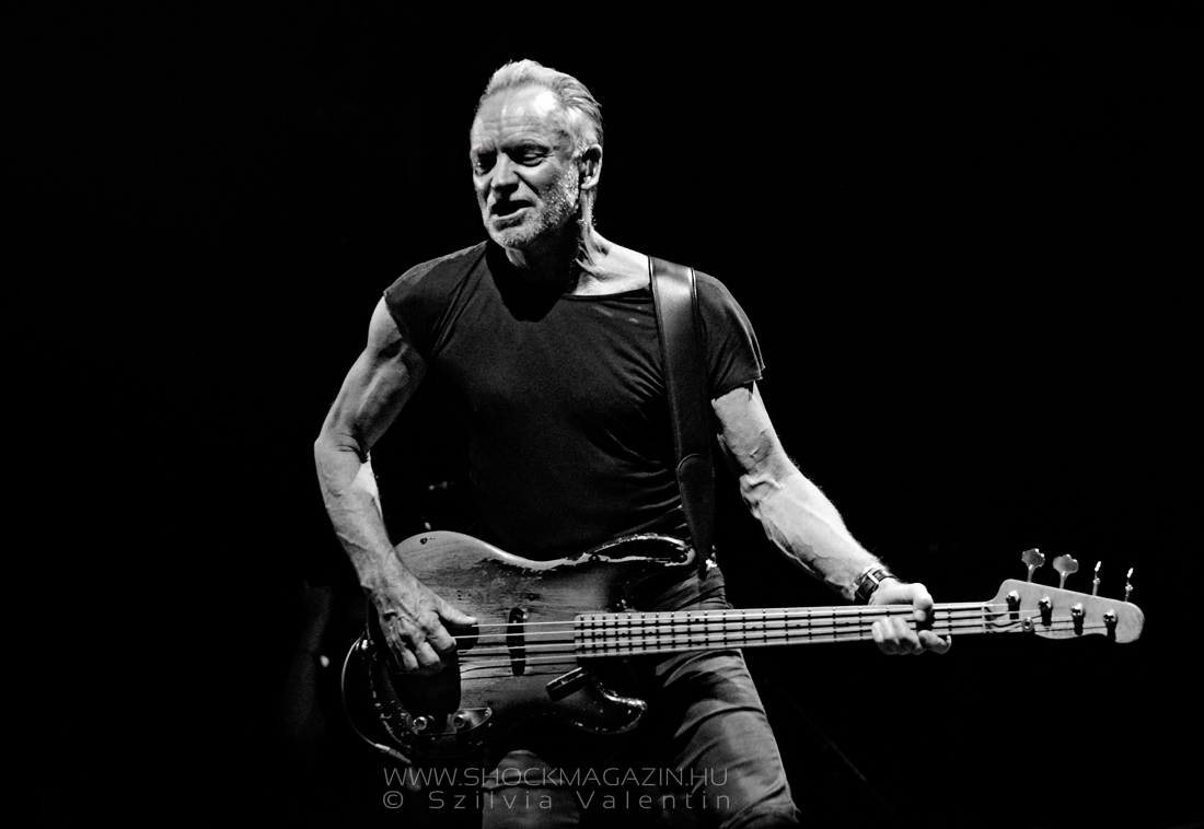 sting_k2019_05