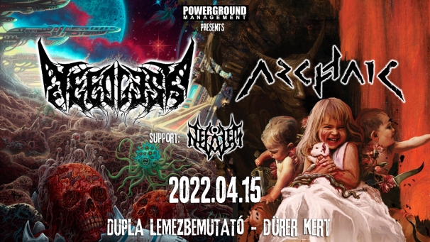 0401_needlessarchaic