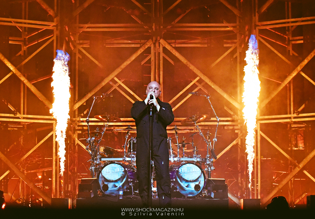disturbed_k_2025_02