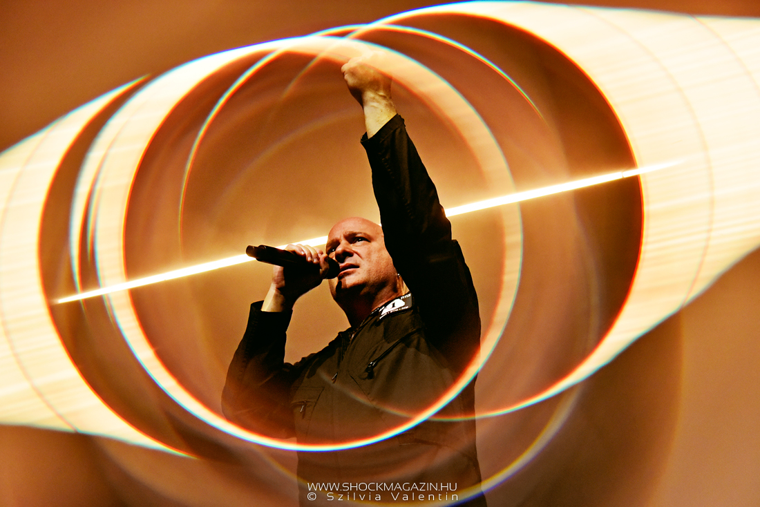disturbed_k_2025_06