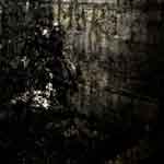 Blut Aus Nord: Mort