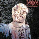 Echo Of Dalriada: A walesi bárdok