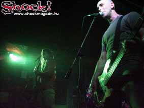 cadaveres_de_tortugas_k2003